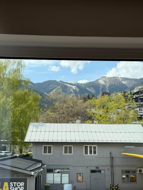 Natural landscape, Living room, Mountain view