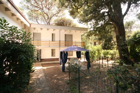 Garden, Garden view