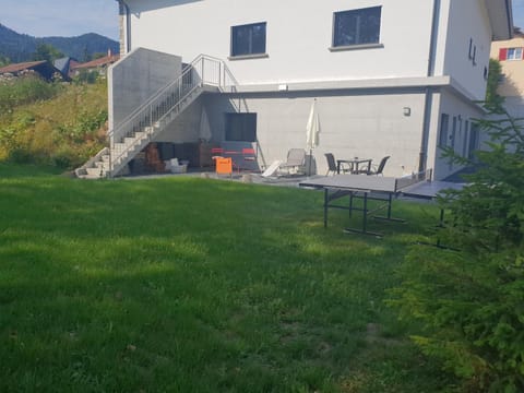 Table tennis, Entertainment