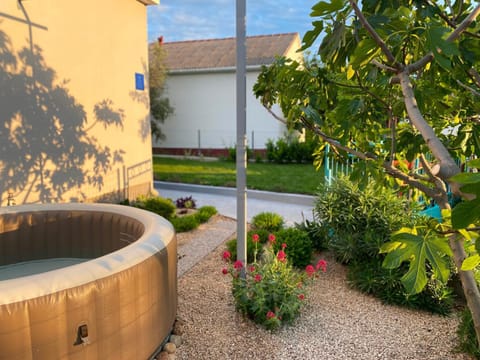 Day, Hot Tub, Pets, Entertainment, Family