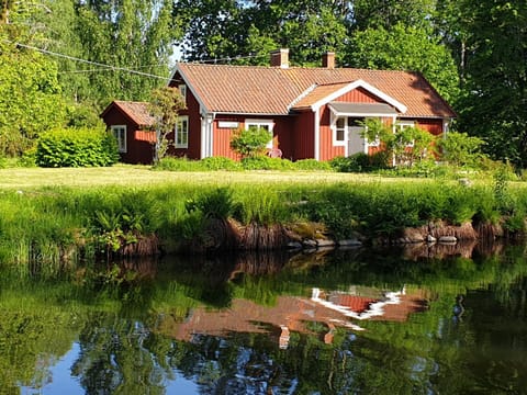 Property building, Garden, Garden view