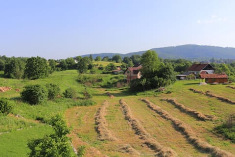 View (from property/room)