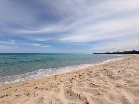 Natural landscape, Beach