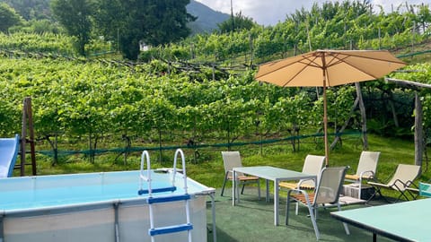 Natural landscape, Swimming pool, sunbed