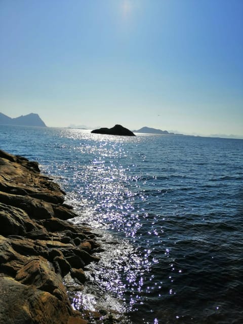 Holiday house in Lofoten Apartment in Lofoten