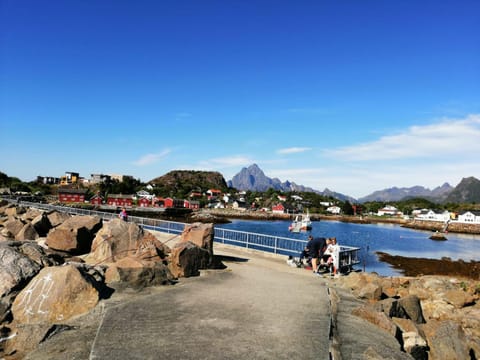 Holiday house in Lofoten Apartment in Lofoten