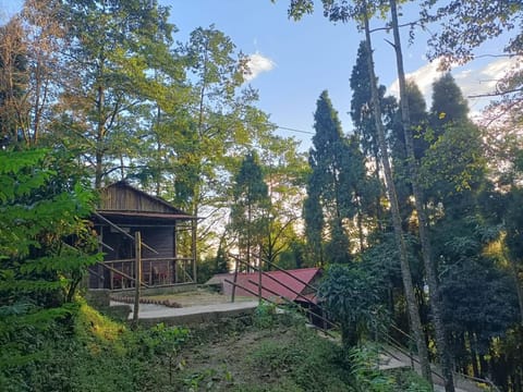 Property building, Day, Natural landscape, Garden view