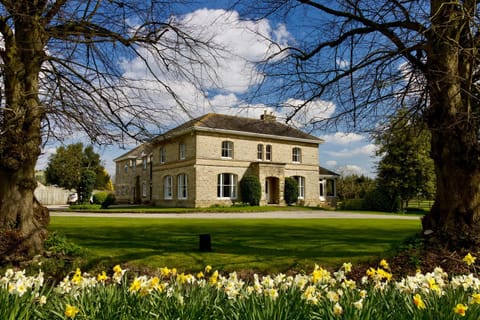 Property building, Day