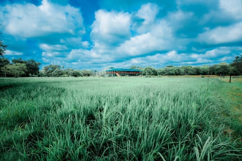 Natural landscape