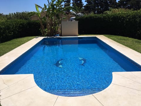 Swimming pool, Swimming pool