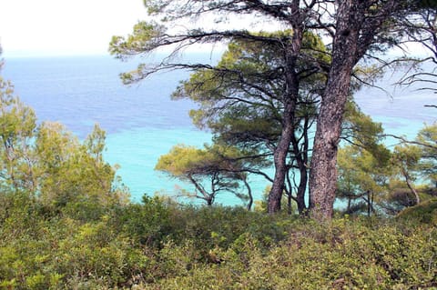 4 bedroom villa Villa in Halkidiki