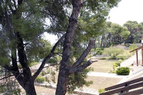 4 bedroom villa Villa in Halkidiki