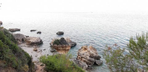 4 bedroom villa Villa in Halkidiki