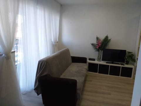 Communal lounge/ TV room, TV and multimedia