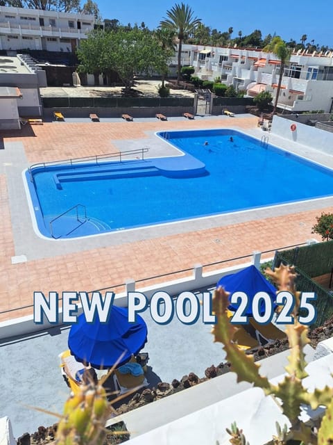 Day, Pool view, Swimming pool, sunbed