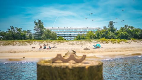 Property building, Natural landscape, Beach, Guests, group of guests