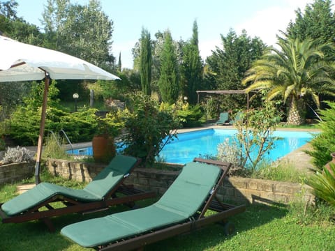 Garden, Garden view, Pool view, Swimming pool, sunbed