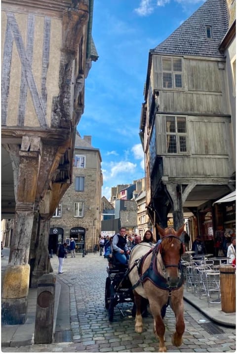 Magnifique appartement de charme au coeur historique de Dinan Apartment in Brittany