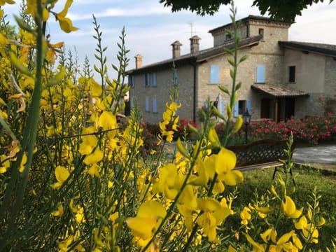 Property building, Day, Garden, Garden view