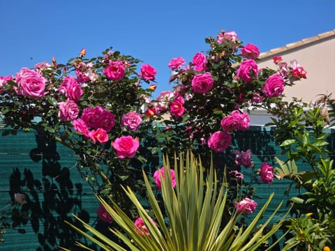 Chambre d'hôtes dans Villa Diane Bed and Breakfast in La Londe-les-Maures