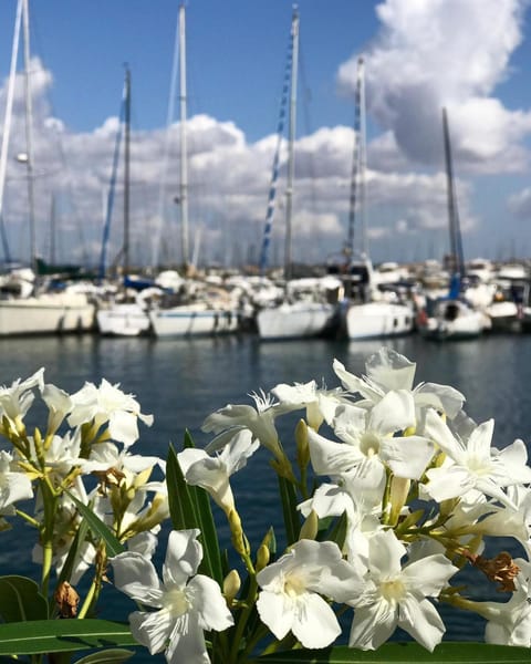 Dolce Vita Suite Alghero Bed and Breakfast in Alghero