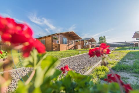 Property building, Spring, Garden view