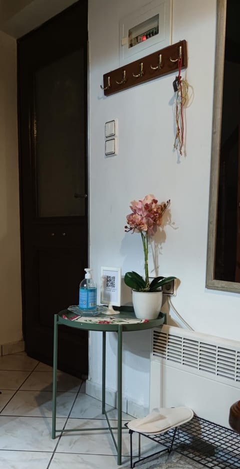 Dameli Apartment in İzmir Province