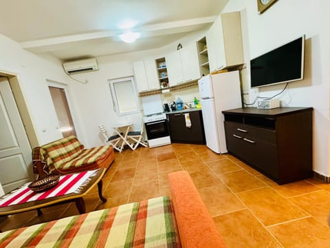 Andrija Apartment in Budva Municipality