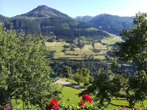 Natural landscape, View (from property/room), On site, Mountain view
