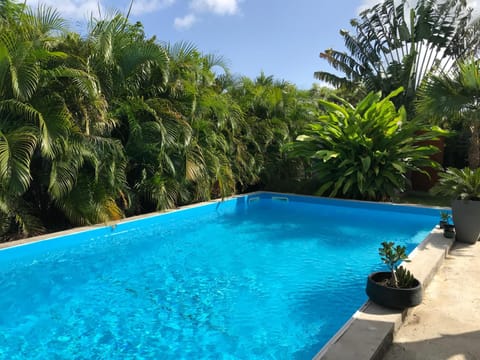 Pool view, Swimming pool, Swimming pool