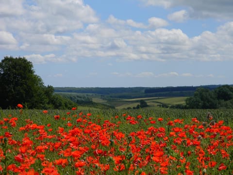 Poppy Glamping Pod Luxury tent in Cotswold District