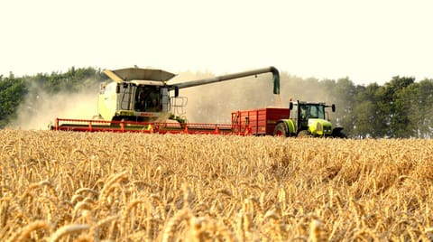 Poppy Glamping Pod Luxury tent in Cotswold District