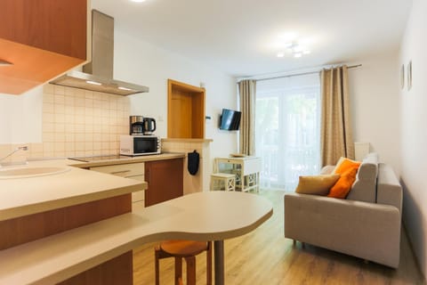 Kitchen or kitchenette, Living room, Seating area, minibar, stove