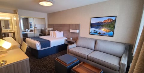 Bed, Living room, Photo of the whole room, Bedroom