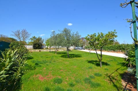 Bavica Apartments Bed and Breakfast in Rovinj