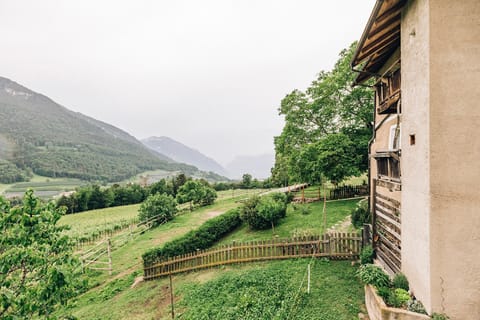 Natural landscape, Mountain view