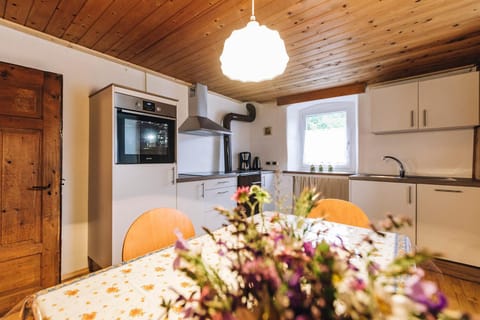 Kitchen or kitchenette, Dining area, stove