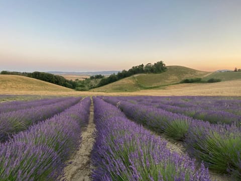 Le case della baracchina House in Tuscany