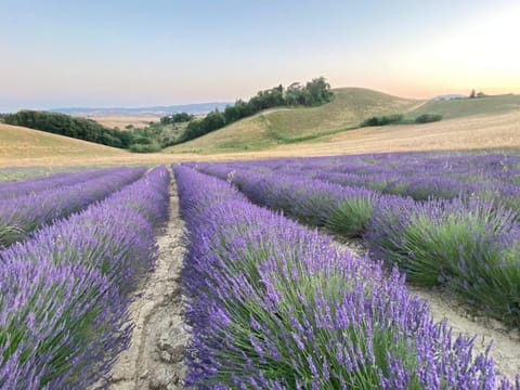 Le case della baracchina House in Tuscany