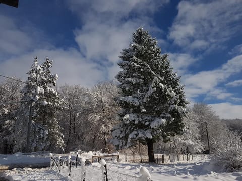 Natura Plitvice Lakes Bed and Breakfast in Jezerce