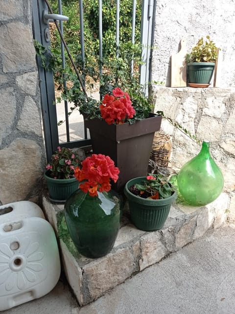 Apartments Nino Skadar lake Apartment in Podgorica Municipality, Montenegro