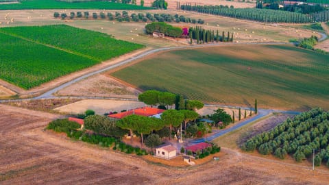 Agriturismo I Debbi Farm Stay in Tuscany