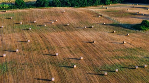 Agriturismo I Debbi Farm Stay in Tuscany