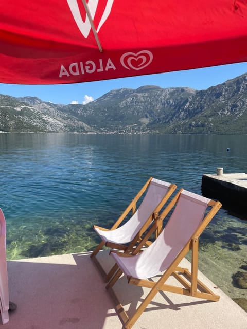 Apartments Dabovic Apartment in Kotor Municipality