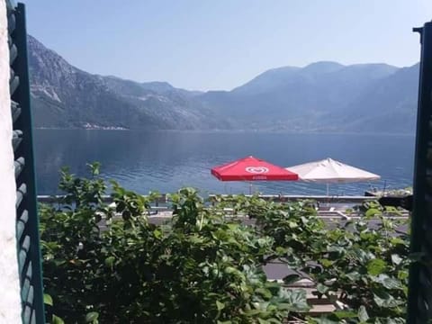 Apartments Dabovic Apartment in Kotor Municipality