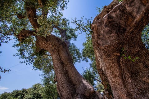 Hotel Eden Hotel in Carovigno