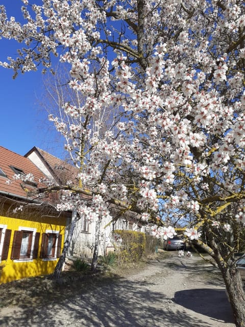Property building, Spring, Neighbourhood