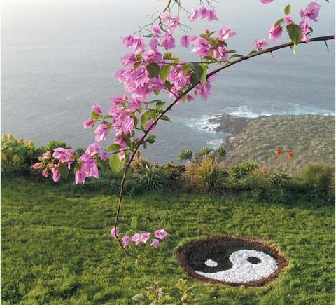 Garden, Sea view