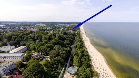 Bird's eye view, Beach