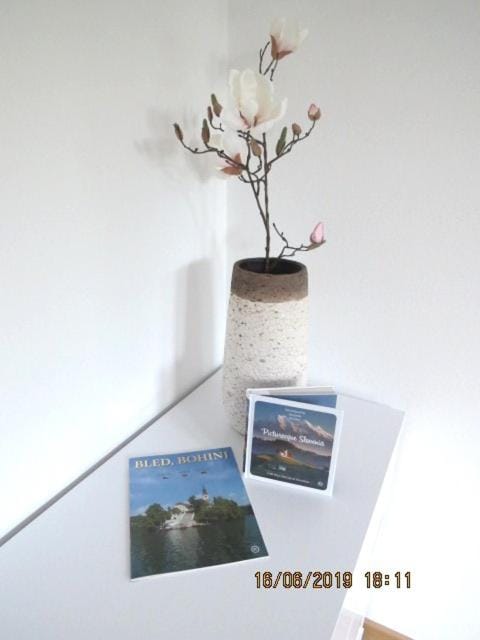 Sunlight Apartment Apartment in Bled